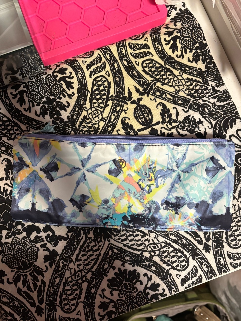 Ivivva Pencil Case